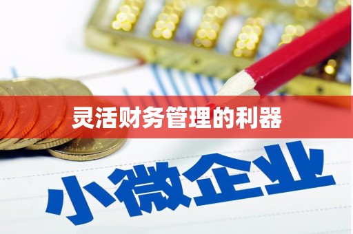 冀州灵活财务管理的利器