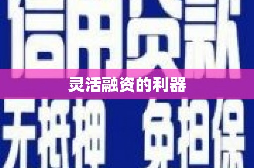 冀州灵活融资的利器