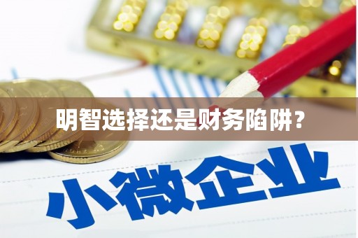 冀州明智选择还是财务陷阱？