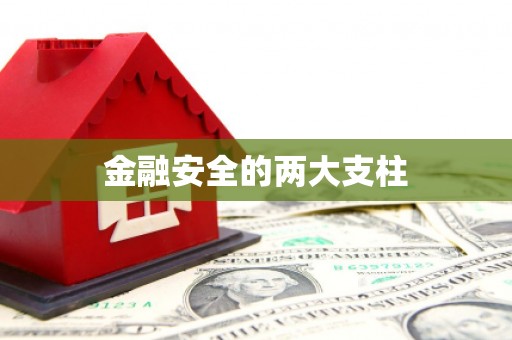 冀州金融安全的两大支柱