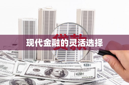 冀州现代金融的灵活选择