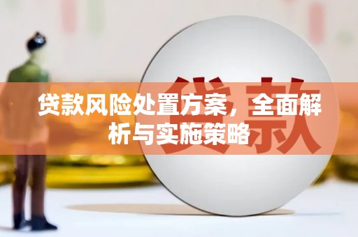 冀州贷款风险处置方案，全面解析与实施策略