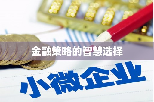 冀州金融策略的智慧选择